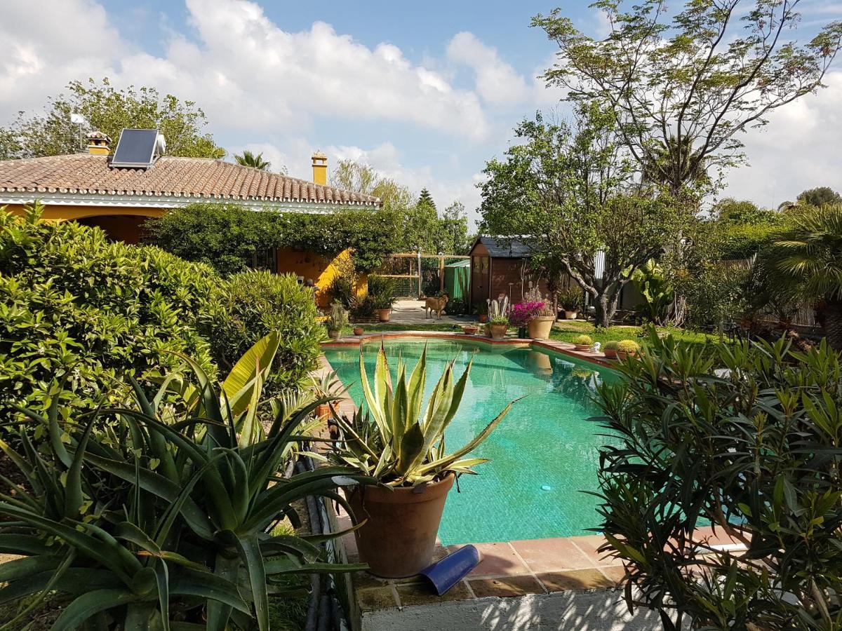 Finca La Gallina Blanca Alhaurín el Grande Extérieur photo